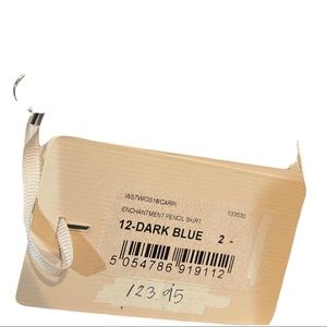 Ted Baker Size 2 Skirt Gradiant color.  Great for work or night out.